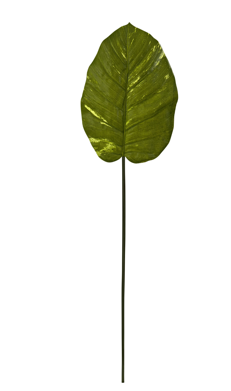 37.5” Giant Artificial Pathos Leaf (Real Touch) (Set Of 12)