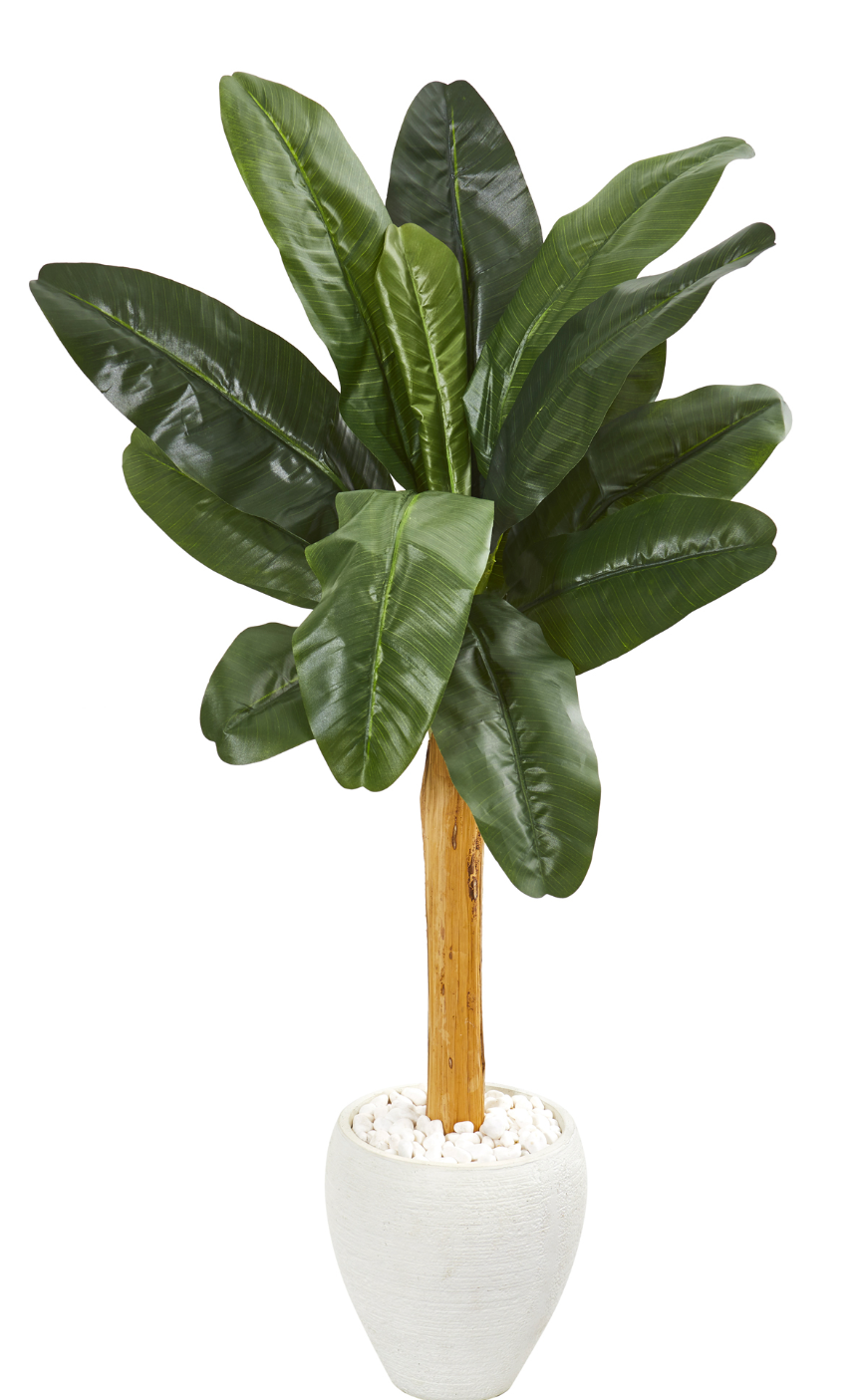 57” Banana Faux Tree In White Planter