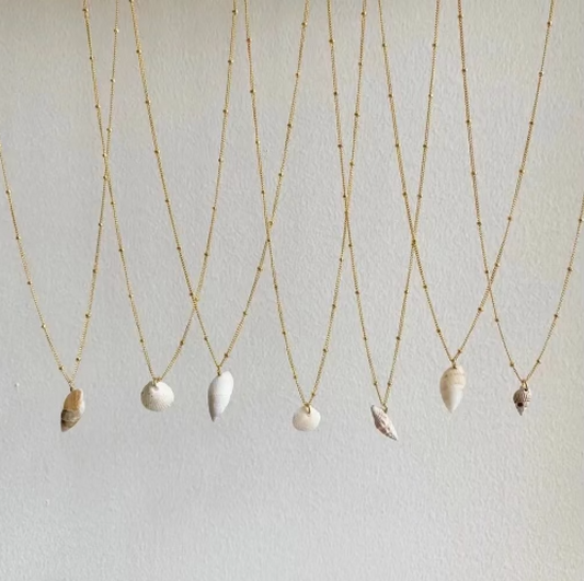 Shell Necklace