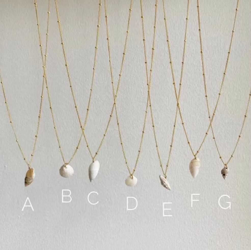 Shell Necklace